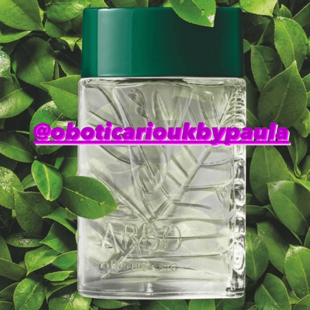 Arbo Eau de Toilette 100ml O Boticário 